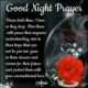 NIGHT PRAYER 1