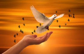 PEACE OF MIND