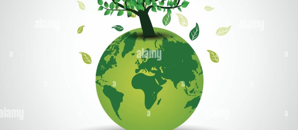 ENVIRONMENT